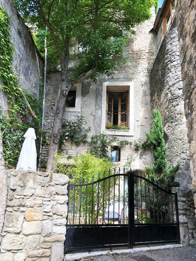 Villa Authentique Et Architecturale - Centre Ville Forcalquier Eksteriør billede